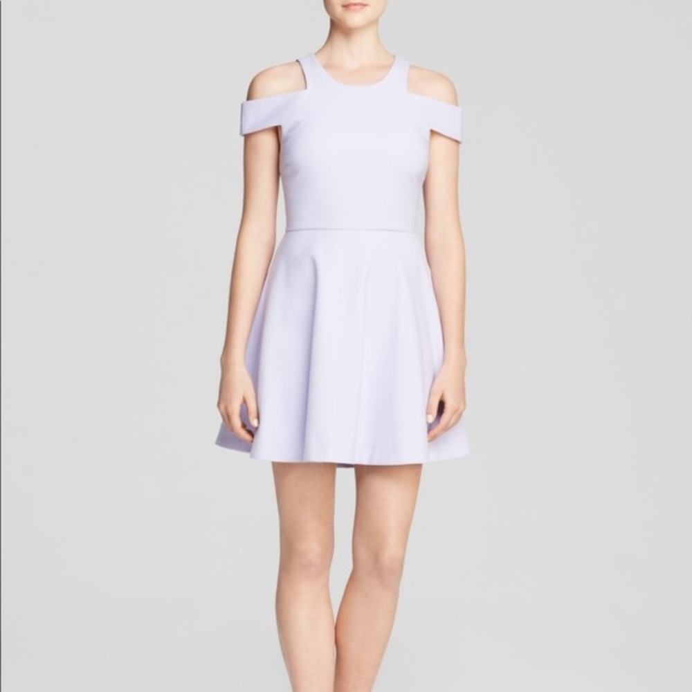 Elizabeth and James Lavendar Cocktail Dress Size 4
